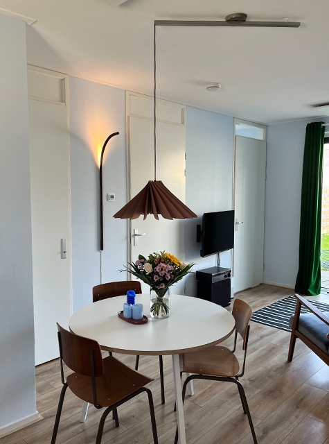 Lightswing® Single Stainless Steel with Pendant Light Novo Dusty Pink above round dining table in modern dining area